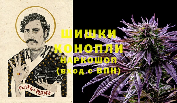 прущие грибы Майский
