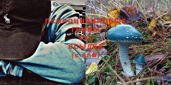 ешки Баксан