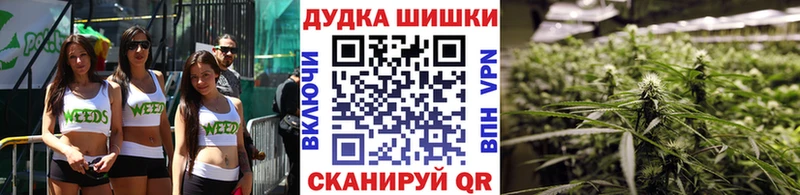 где можно купить Хасавюрт Канабис гибрид